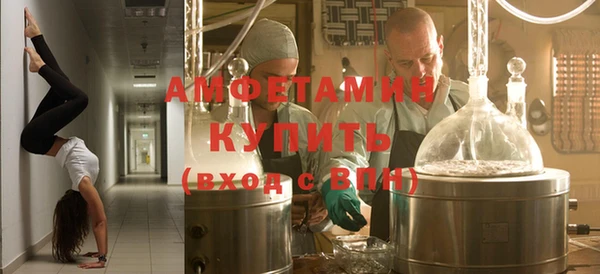 крисы Бронницы