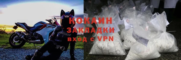 крисы Бронницы