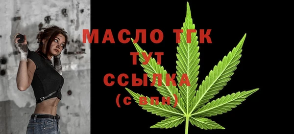 крисы Бронницы