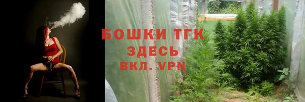 крисы Бронницы