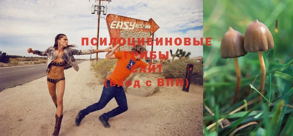 спиды Ачинск