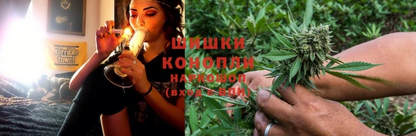 наркотики Бородино