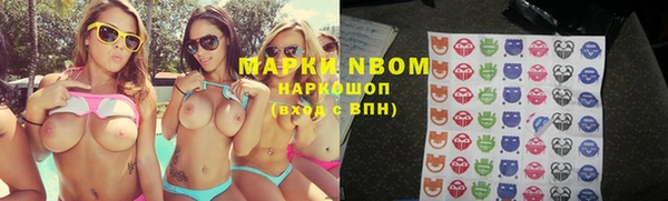 крисы Бронницы