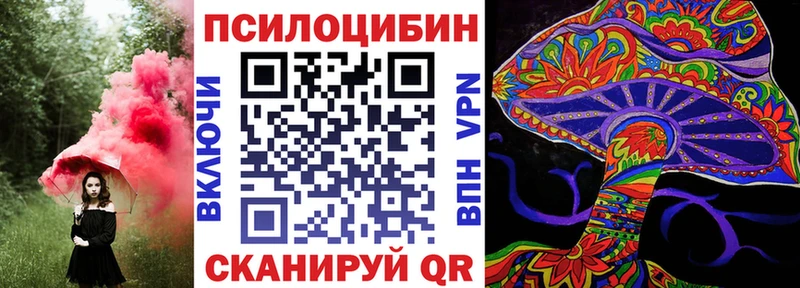 Псилоцибиновые грибы Cubensis  Воркута 
